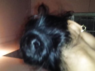 Game american dragon porn, indian adult ladies and boys porn