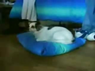 Children, sex chair, sex chair best group porn